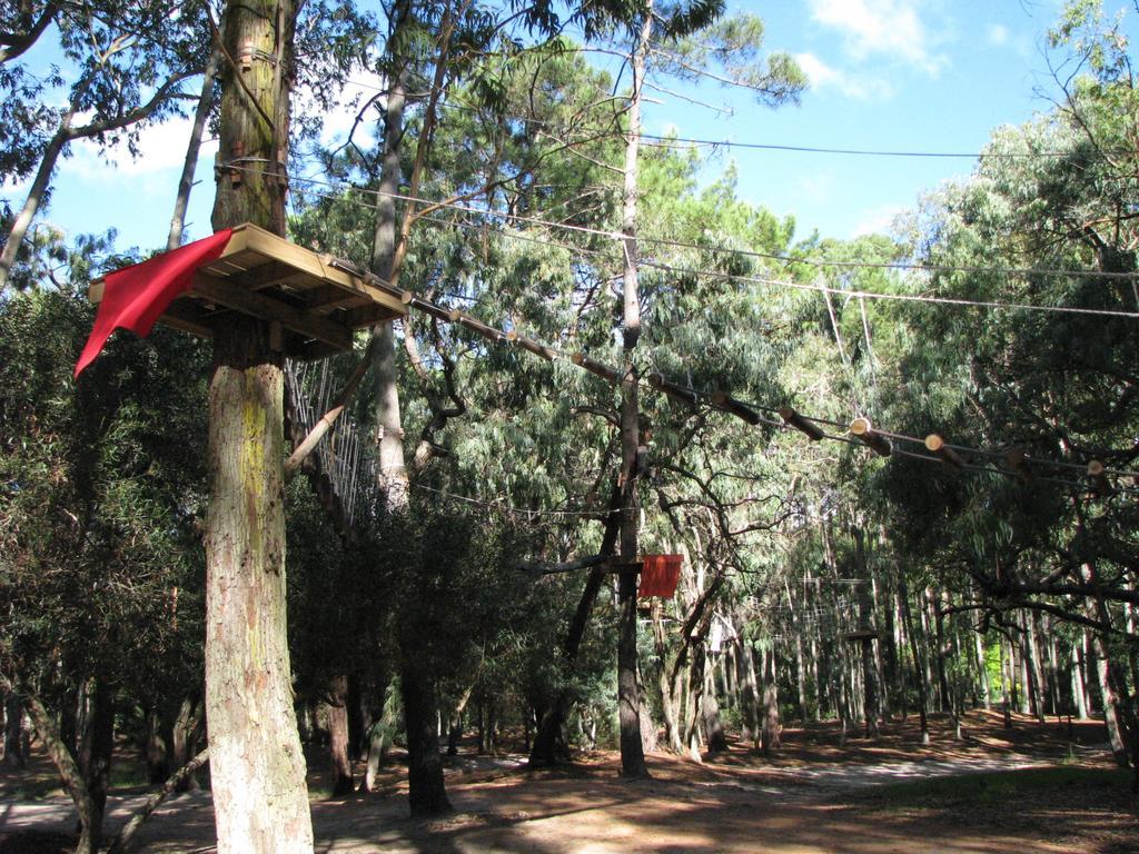 Green Park En Πούντα ντελ Έστε Εξωτερικό φωτογραφία